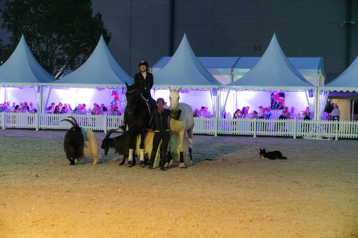 Euro Cheval à Offenburg !