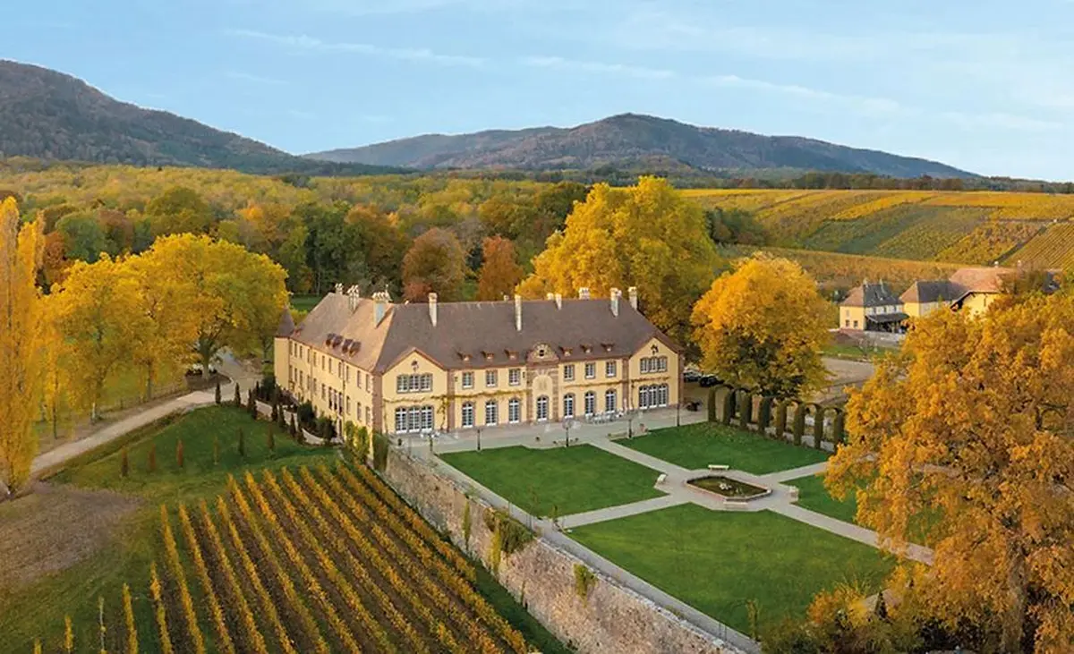 Le Château d'Ollwiller entouré de ses vignes