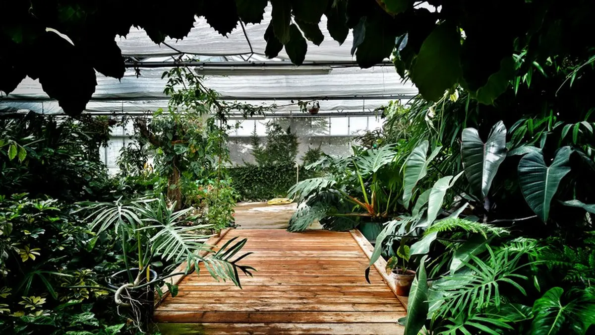 Évasion sous les tropiques