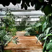 Évasion sous les tropiques