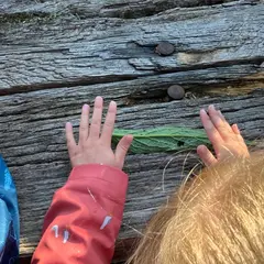 Eveil à la nature spécial 18 mois - 4 ans : A la recherche des petites bêtes