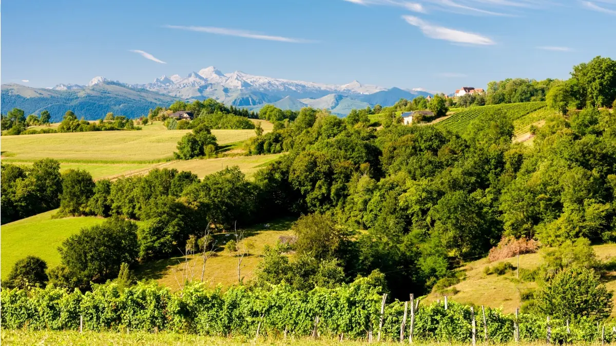 Evènement : Lacq-Orthez, terre de vin
