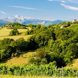 Evènement : Lacq-Orthez, terre de vin