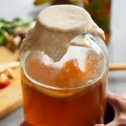 Événement Nature & Vous - Bulles de santé : je crée mes boissons fermentées