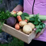 Événement Nature & Vous - Manger malin : Au rythme des saisons