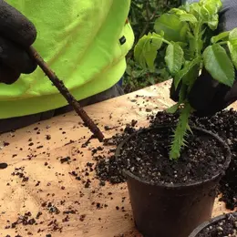 Événement Nature & Vous - Multiplier ses plantes, c'est facile !