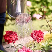 Événement Nature & Vous - Un potager économe en eau