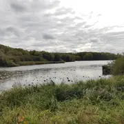 Événement Nature & Vous - Voyageurs ailés : les secrets de la migration