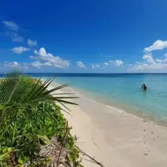 Excursion à l'îlet Caret depuis la Marina du Gosier (971)