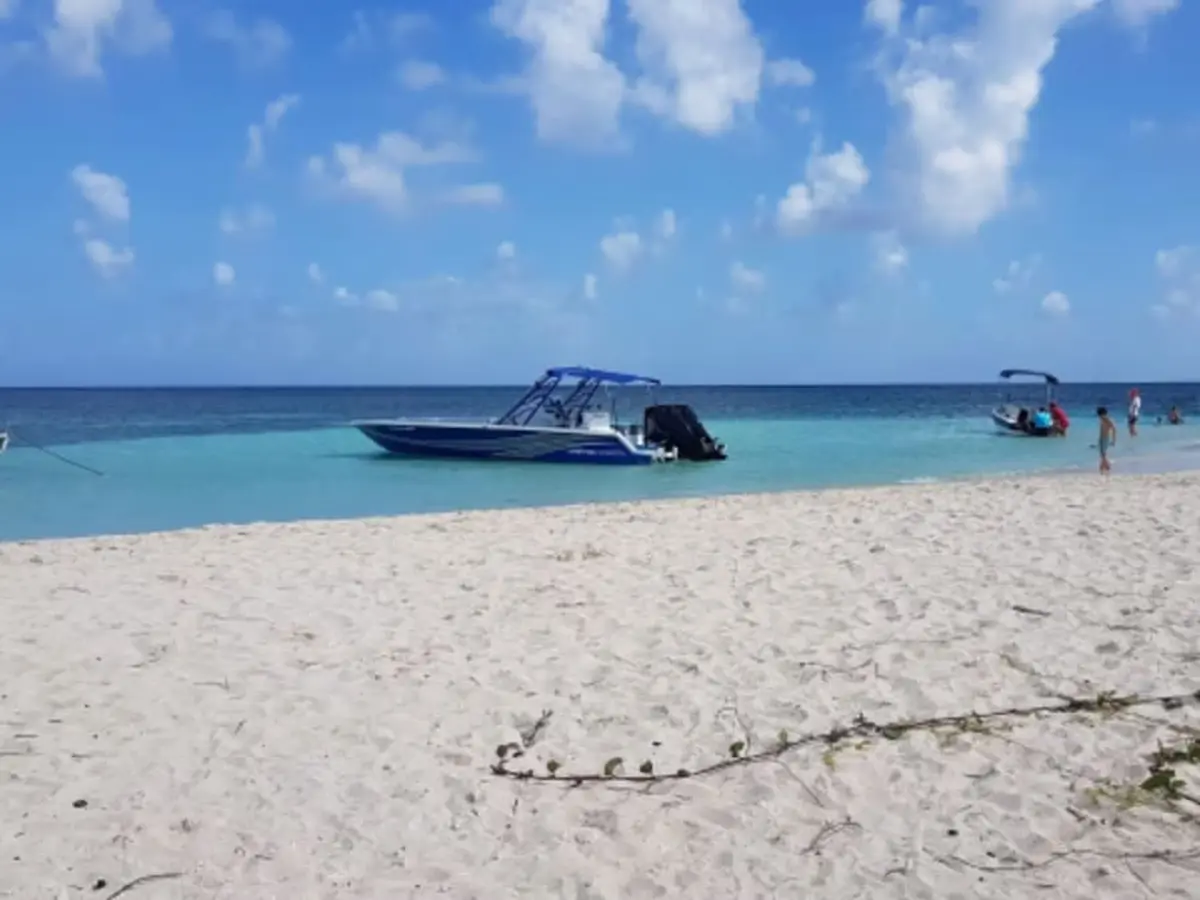 Excursion à la demi journée à Petite Terre (971)