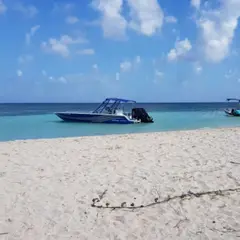 Excursion à la demi journée à Petite Terre (971)