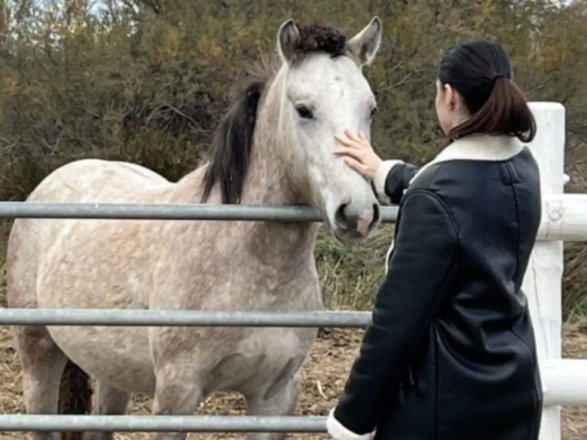 Excursion camargues et dégustation de vins à Aigues-Mortes (30)