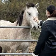 Ce week-end dans le Gard, 8 idées inattendues pour ne pas rester chez vous du 20 au 22 mars 2026