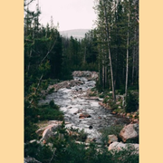 Excursion : Carnets d'aventures