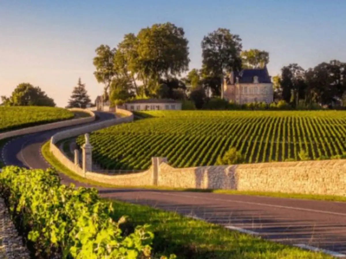 Excursion demi-journée dans le Médoc depuis Bordeaux (33)