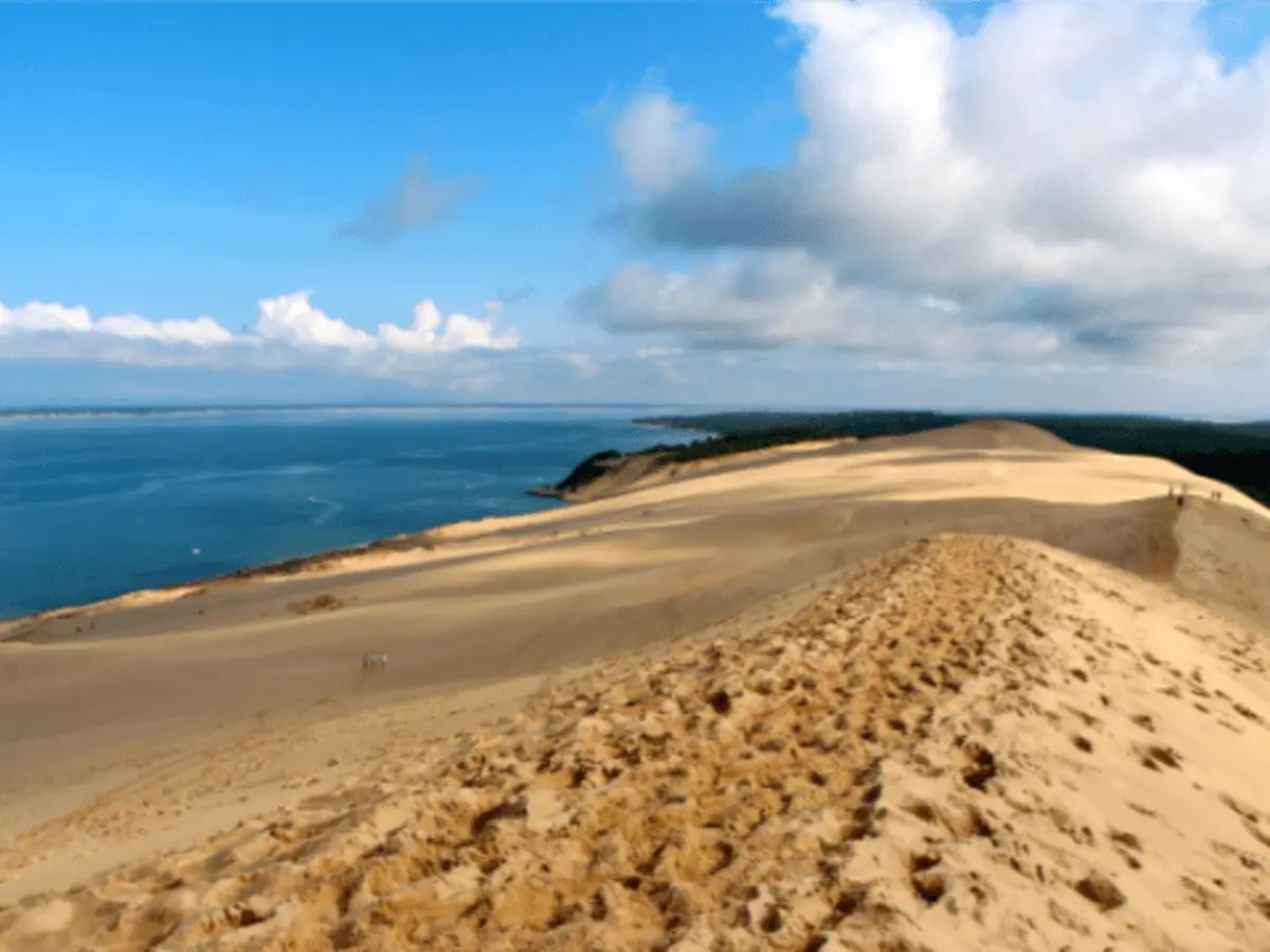 Excursion demi-journée sur le Bassin d'Arcachon depuis Bordeaux