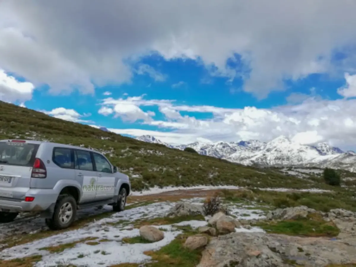 Excursion en 4x4 Vallée de l'Asco au départ de Balagne