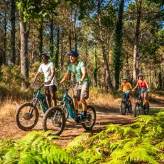 Excursion en forêt en trottinette électrique à Seignosse (40)