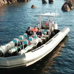 Excursion en mer des 3 caps à Fréjus (83)