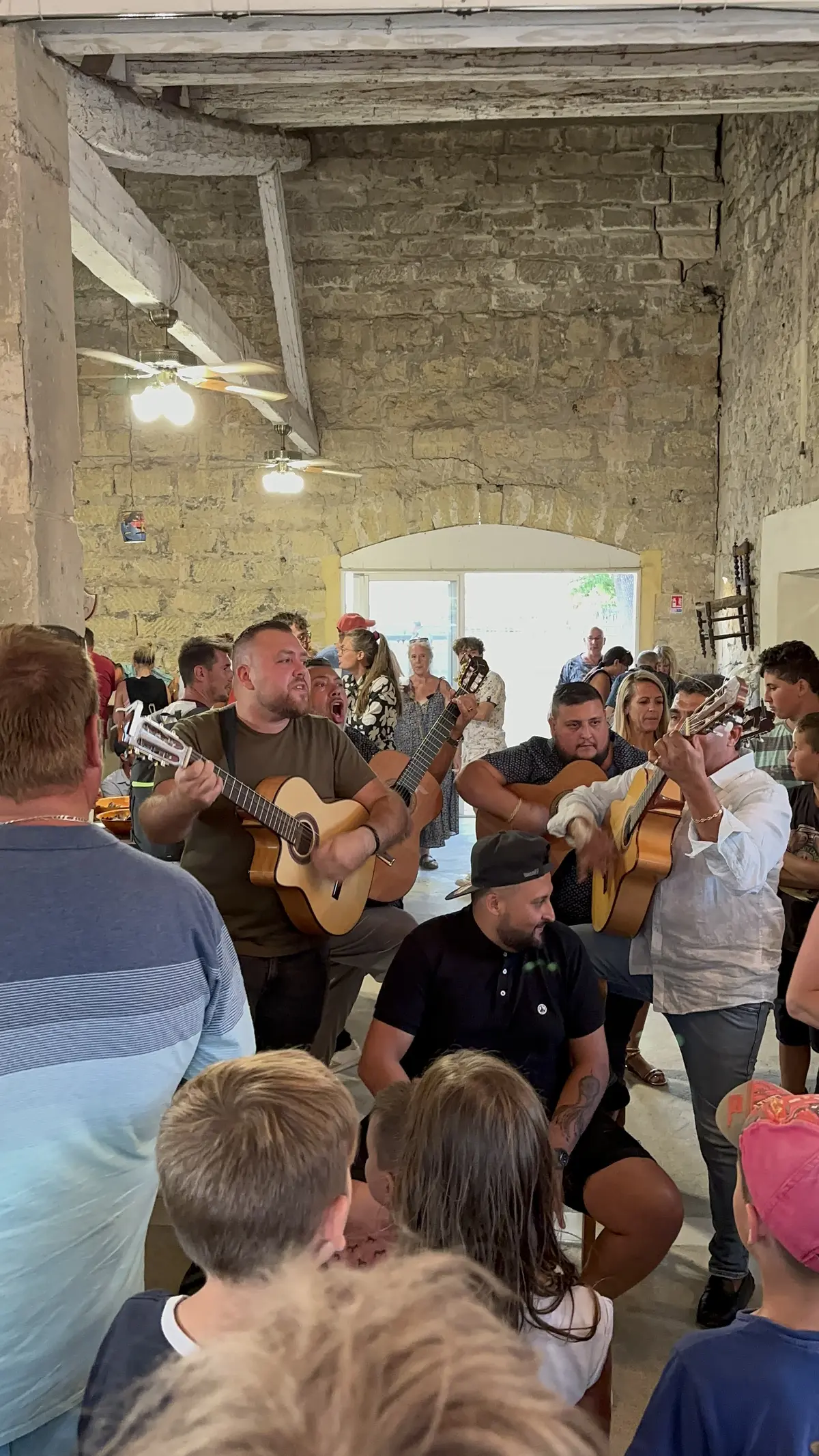 Excursion En Mini-Bus Avec O'Thaubus : Soirée Camarguaise