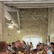 Excursion En Mini-Bus Avec O'Thaubus : Soirée Camarguaise