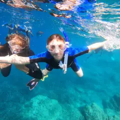 Excursion Snorkeling guidée au large de Fréjus (83)