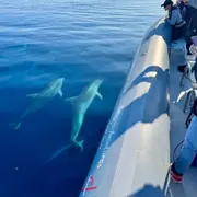 Excursion vers la réserve  de Scandola à Sant'Ambroggio (20)