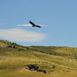Excursion Vers Le Canigo En 4x4 Avec Passcanigo