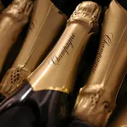 Excursion VIP d'une journée dans la région de la Champagne avec 7 dégustations et déjeuner au départ de Paris