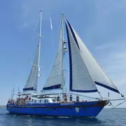 Expédition 7ème Continent