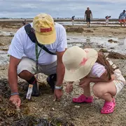 Expérience de Destination : Initiation pêche à la marque pour récolter des palourdes