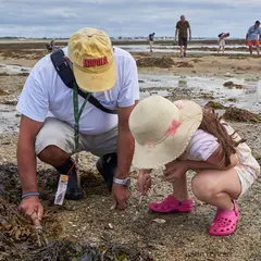 Expérience de Destination : Initiation pêche à la marque pour récolter des palourdes