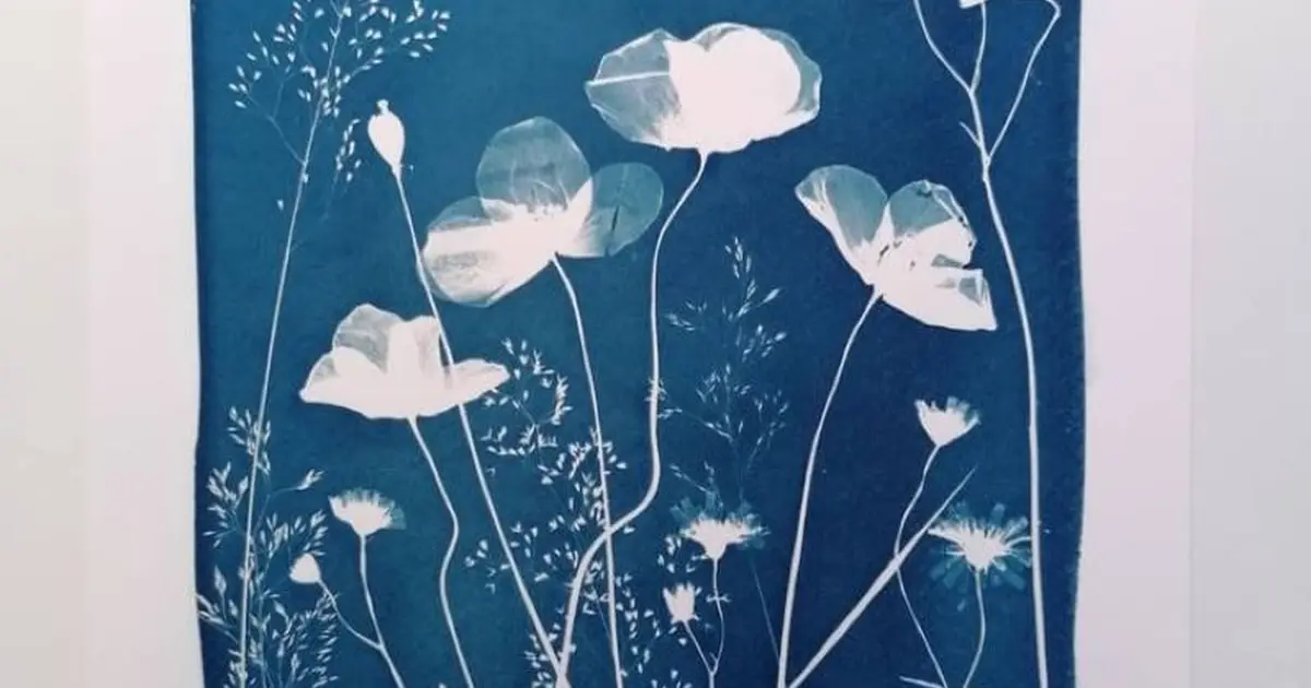 Expérience de Destination : je créé mon cyanotype avec les fleurs du Jardin Christian Dior