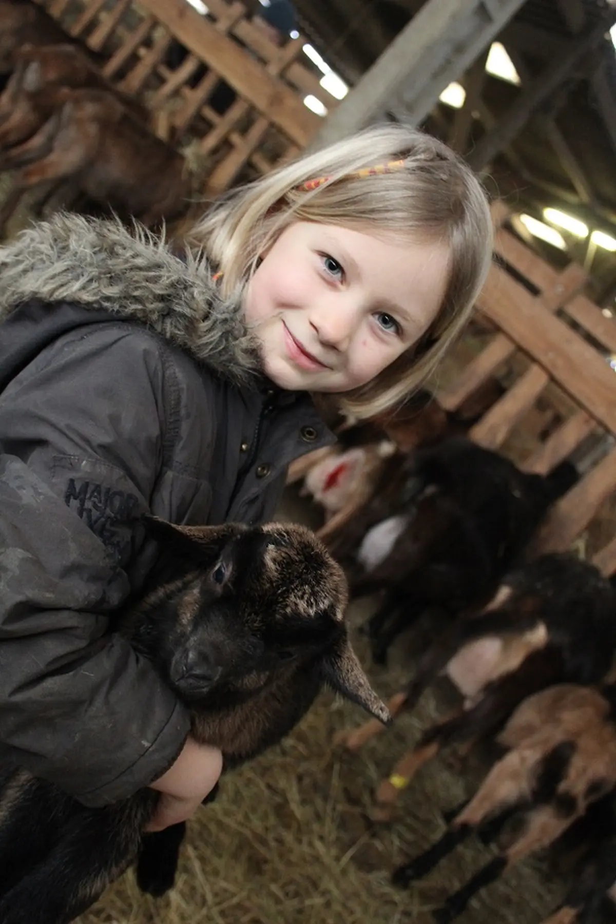 Expérience : fermier d’un jour