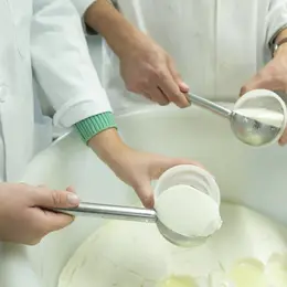 Expérience immersive (adulte) - Visitez une chèvrerie et fabriquez votre fromage
