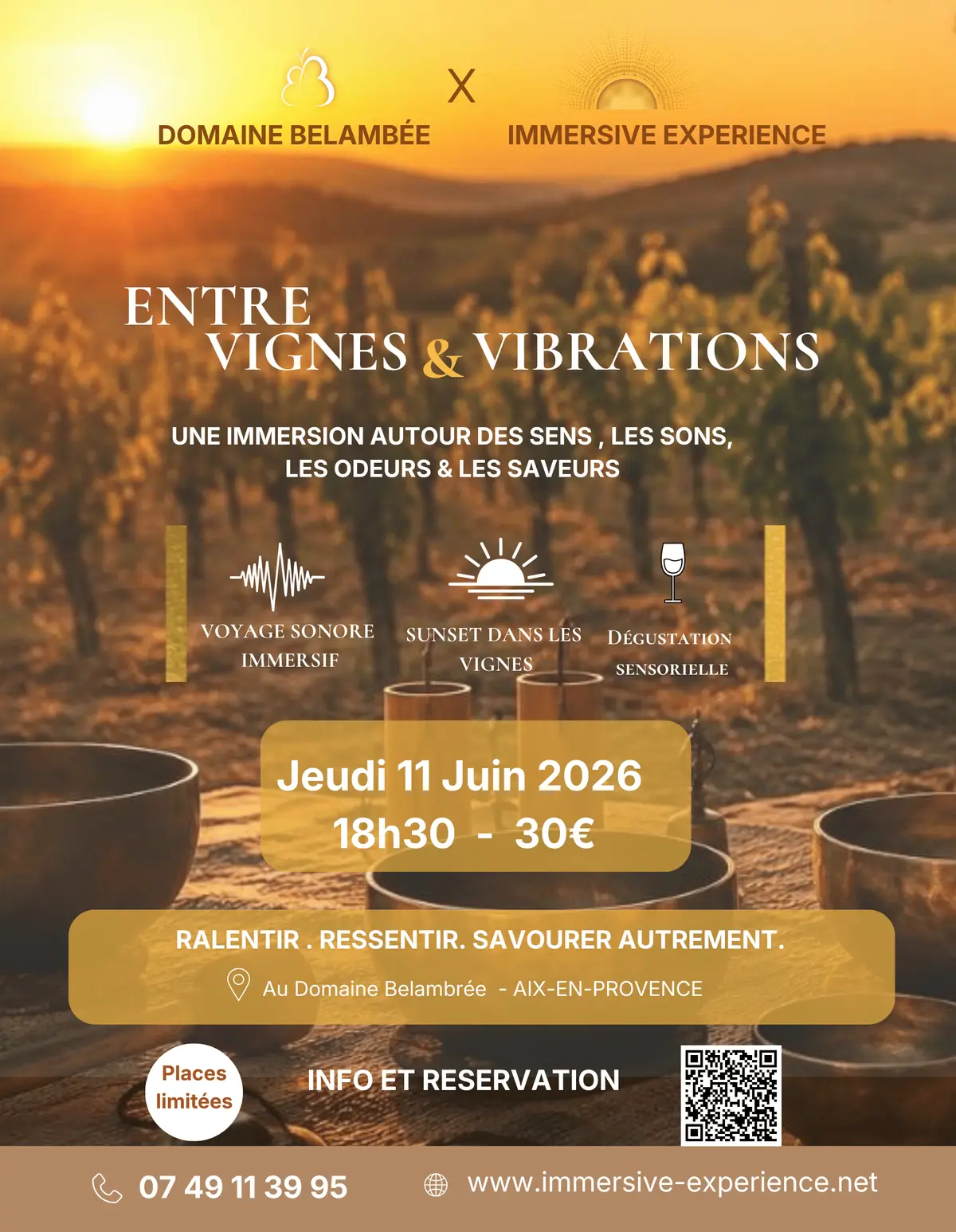 Expérience Immersive Entre Vigne & Vibrations