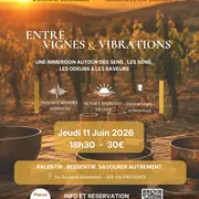 Expérience Immersive Entre Vigne & Vibrations