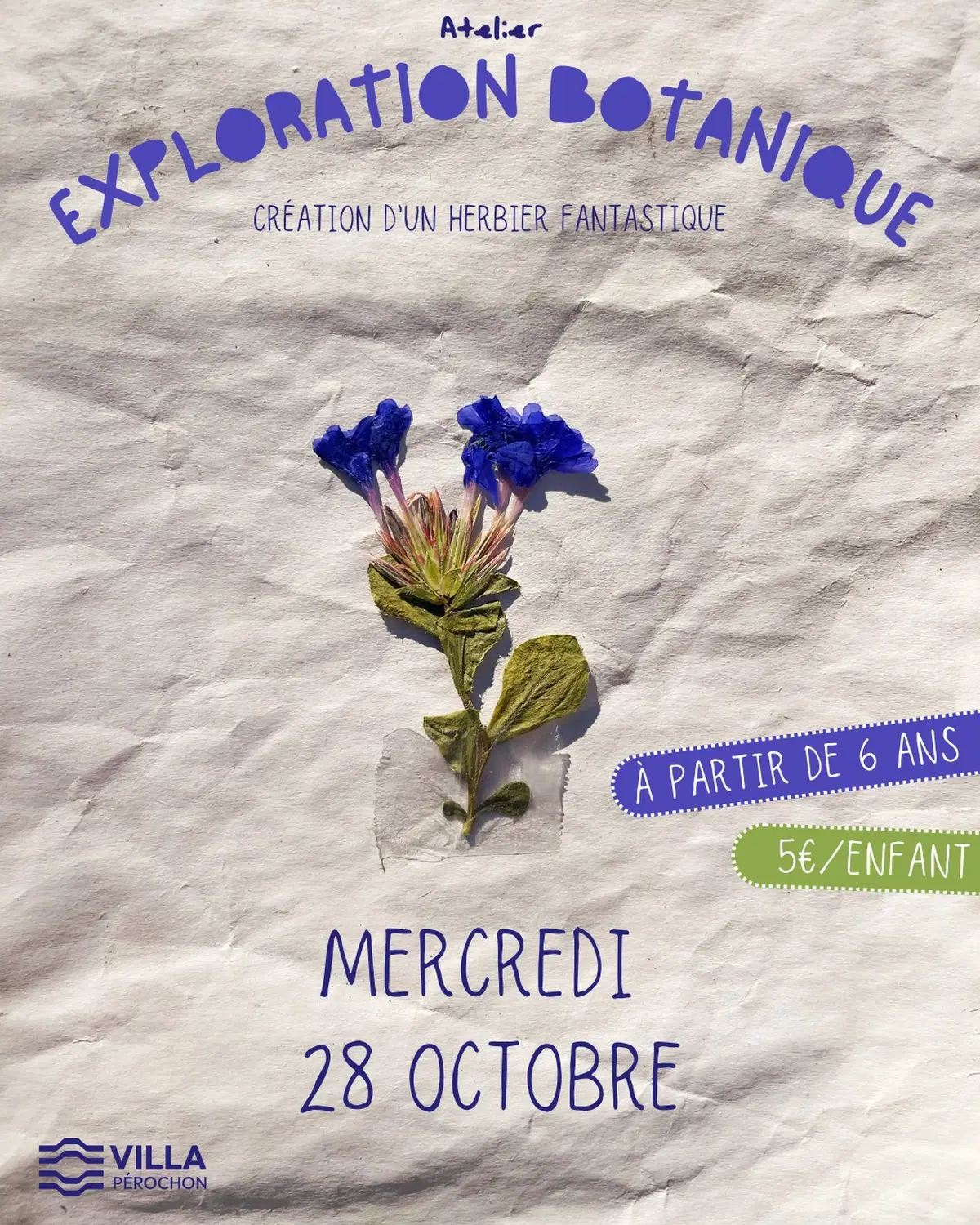 Exploration botanique, Création d'un herbier fantastique - à Niort