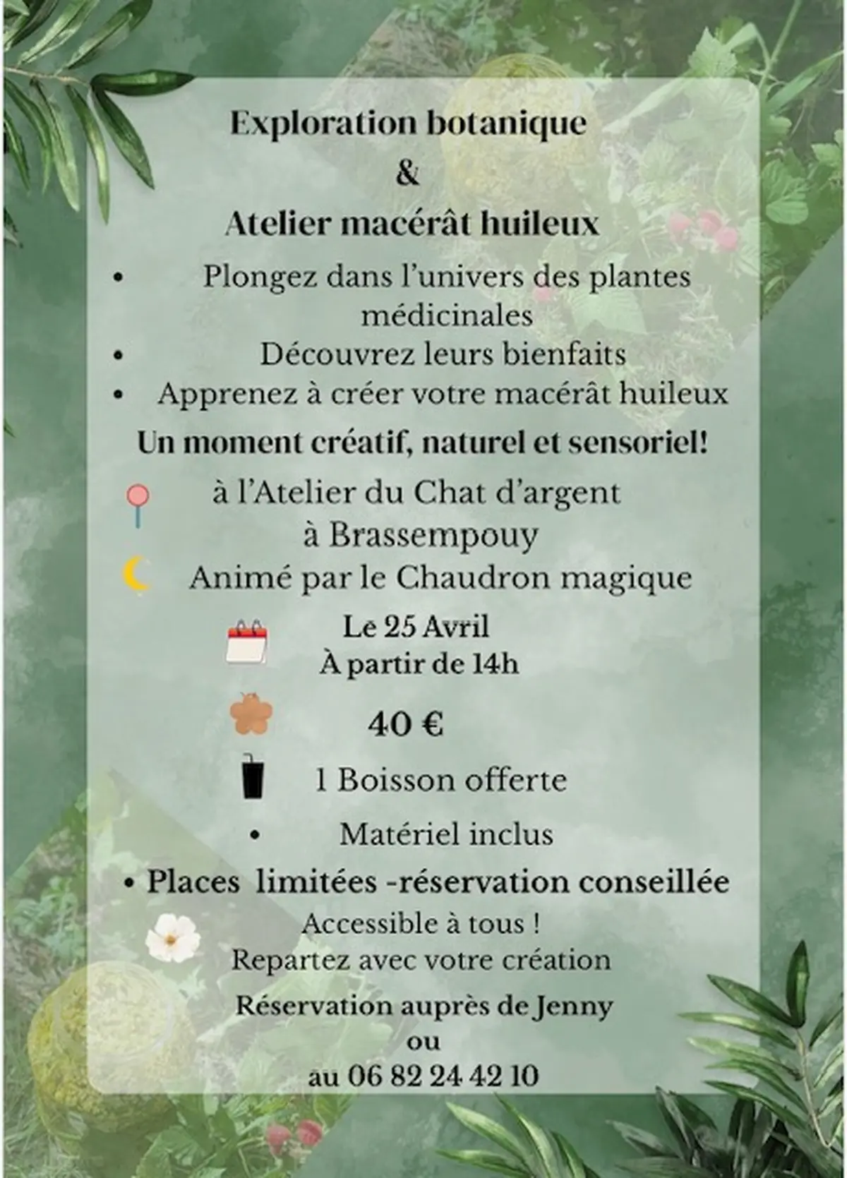 Exploration botanique & création de macérât huileux