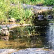 Exploration Sensible Les Pieds Dans La Boyne #2