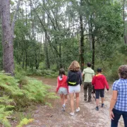 Explorez la forêt avec l'ONF