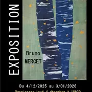Expo de dessins et peintures de Bruno MERCET -  MJC