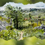 Expo Fragrances Printanières Sur L'Aubrac