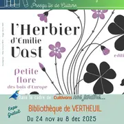 Expo Les herbiers d'Emilie Vast La petite flore des bois