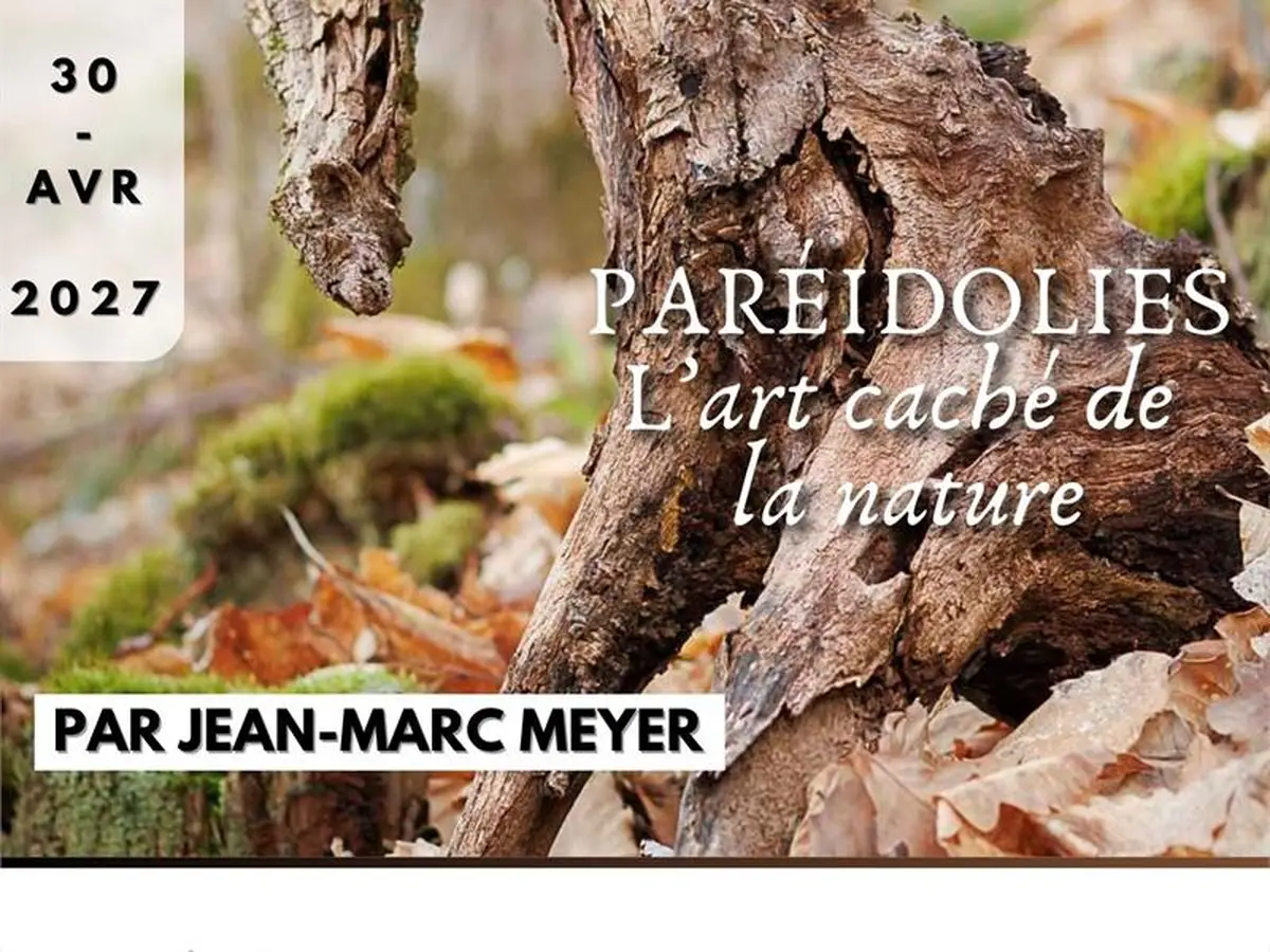 Expo photo - Paréidolies, l'art caché de la nature
