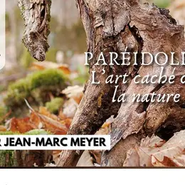Expo photo - Paréidolies, l'art caché de la nature