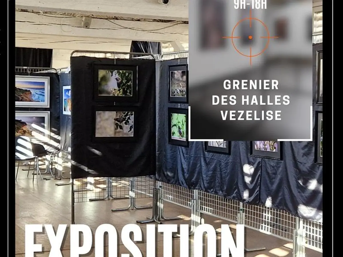 Expo photos