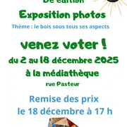 Expo photos Le bois sous tous ses aspects