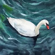 Expo-vente : Peinture sur soie