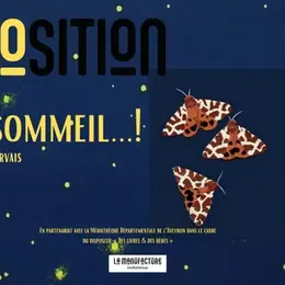 Exposition : 1,2,3, sommeil… de Bernadette Gervais, autrice et illustratrice
